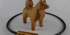 2018犬